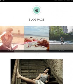 Blog Page